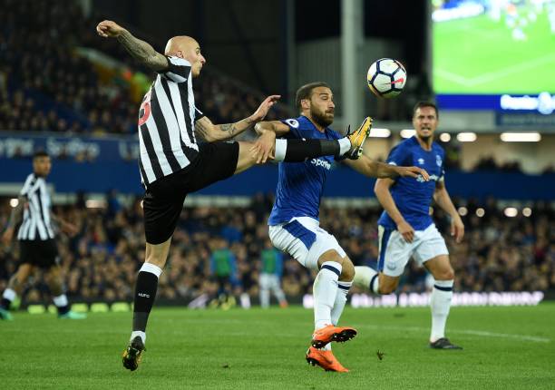 双方在季后 双方在季后